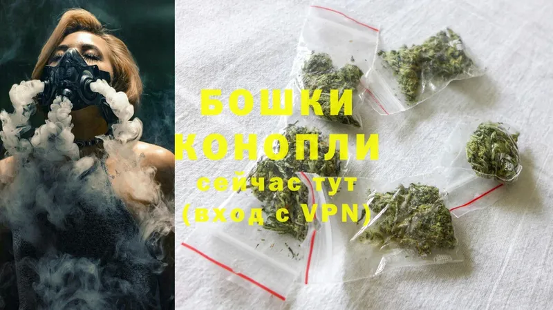 Каннабис White Widow  где найти   Мураши 